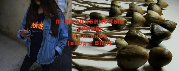 марки nbome Алексеевка