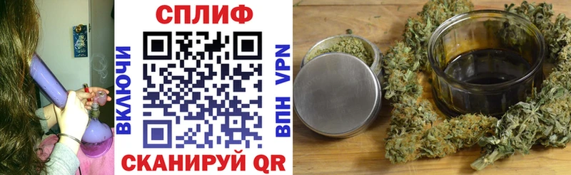 Бошки Шишки план  закладка  Уяр 